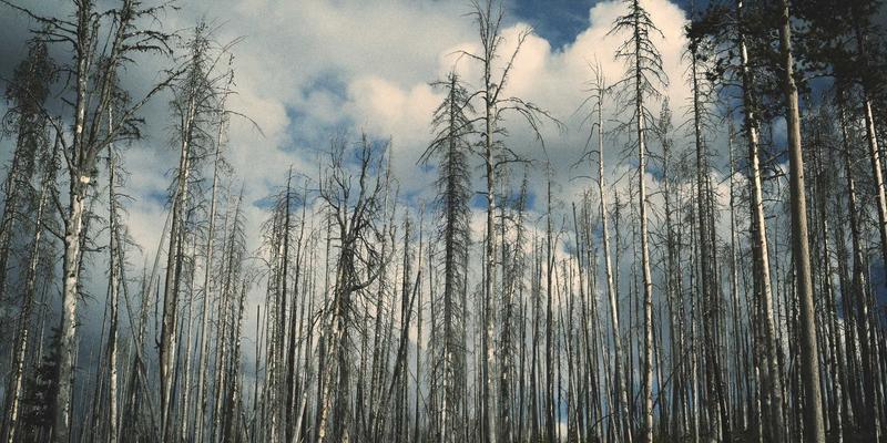 从单点突破到生态共赢：看南京和天如何以自动化与精密加工重塑重型机械智造新格局