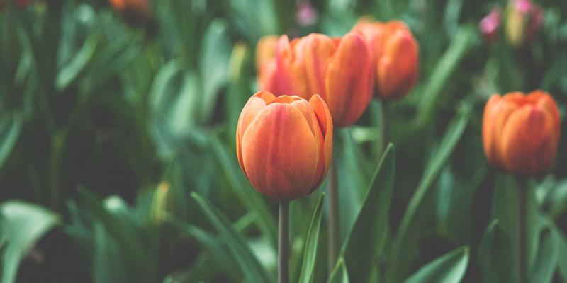 南京和天赋能重型机械行业:一个客户成功案例揭示的工业解决方案新范式